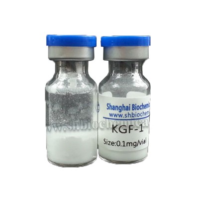 Recombinant Human Keratinocyte Growth Factor-1 from Manufacturer